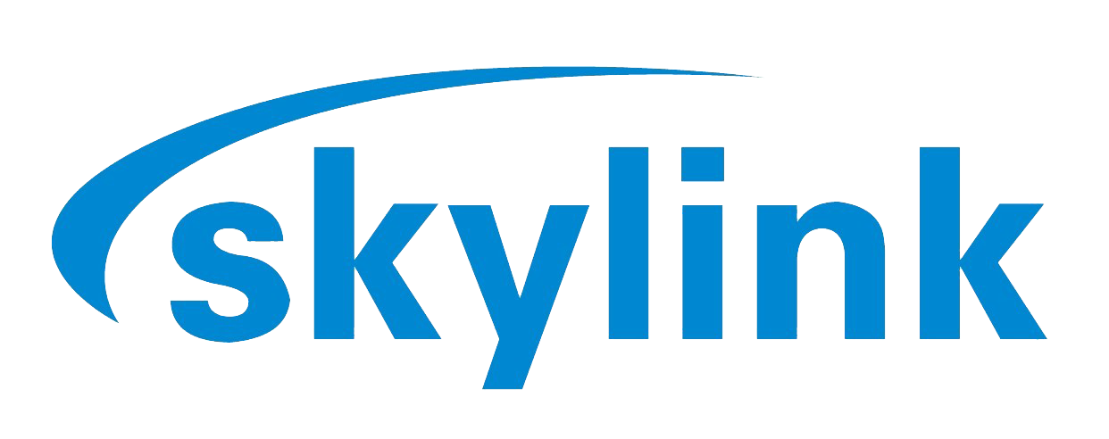 Skylink Fluid Process Technology (Shanghai) Co., Ltd._logo